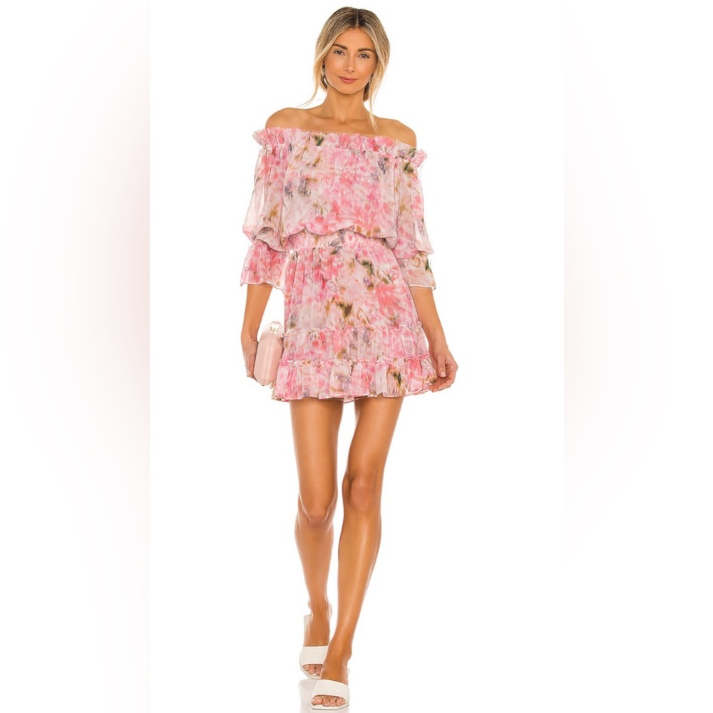 NWT Misa Los Angeles Danae Dress in Taza Floral